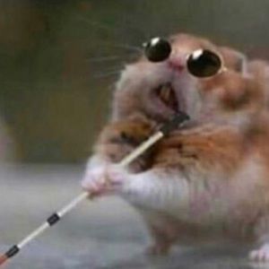 Meet your Posher, Johan